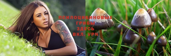 дистиллят марихуана Каменногорск